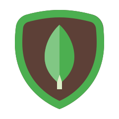 technology icon